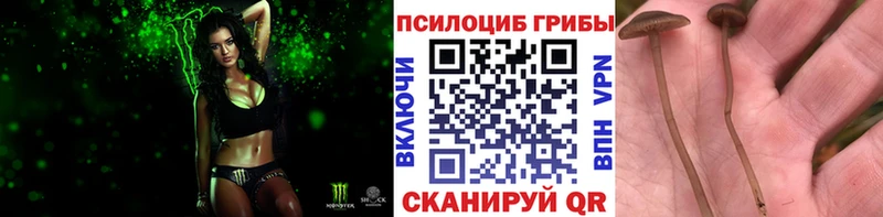 Галлюциногенные грибы прущие грибы  купить закладку  кракен маркетплейс  Ханты-Мансийск 